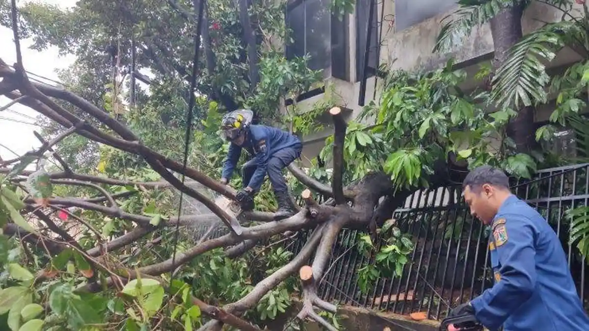 Dinas Pertamanan dan Hutan Kota DKI Pangkas 338 Pohon di 5 Wilayah Kota