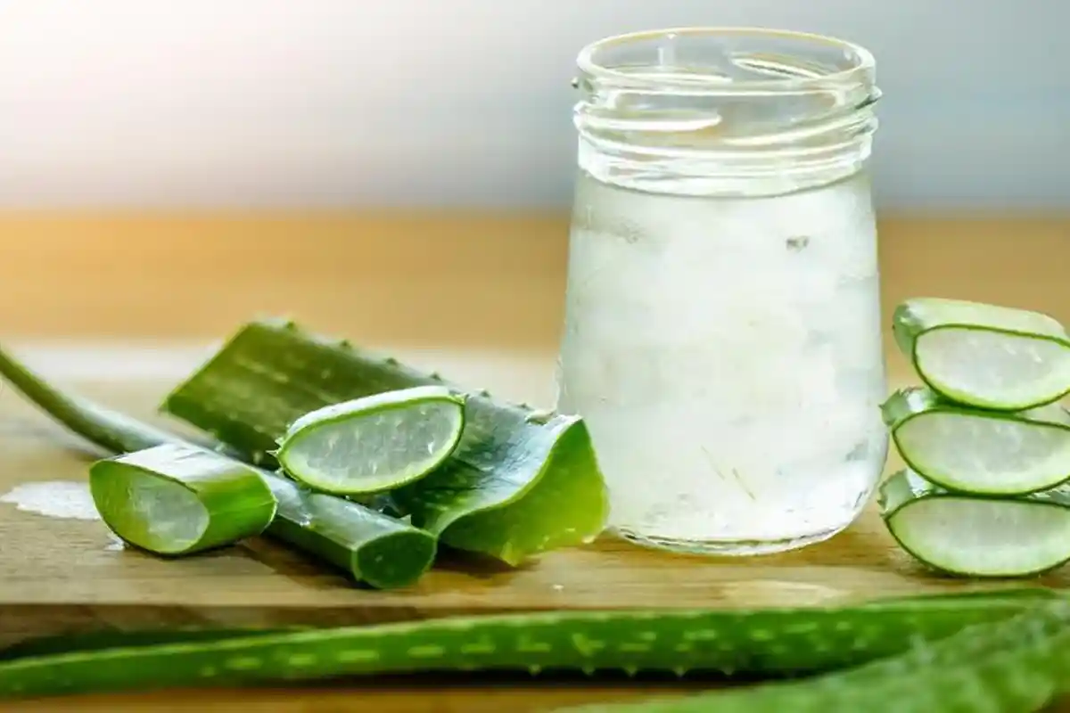 Manfaat Tak Terduga Lidah Buaya, Ampuh Redahkan Asam Lambung yang Tinggi, Cara Buatnya