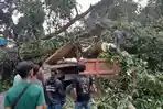 Tim-BPBD-Muba-dan-masyarakat-melakukan-pemotongan-pohon-tumbang-di-kawasan-Jalinteng-Desa-Sereka-1.jpg