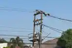 Fiskal Terbatas, Pemkab PPU Intensifkan Koordinasi untuk Proyek Air Bersih - Foto 11