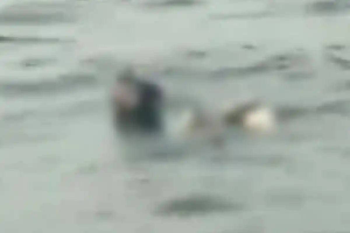 Viral Video Jenazah Mengapung di Perairan Prigi Trenggalek dengan Jeriken, Petugas Lakukan Pencarian