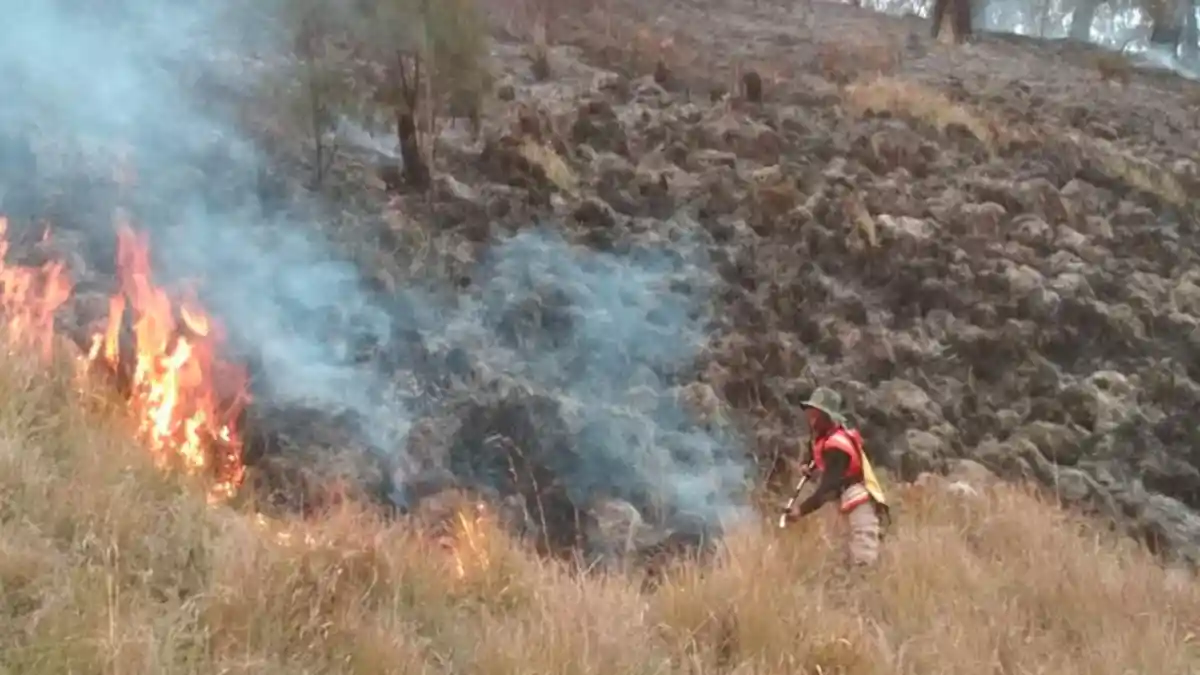Kebakaran Hutan di Gunung Semeru Terus Meluas, Kobaran Api Sudah Tembus 60 Hektar dan Capai Ranupani