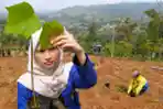 BI Jabar Tanam 500 Bibit Pohon di Lahan Pertanian KBU