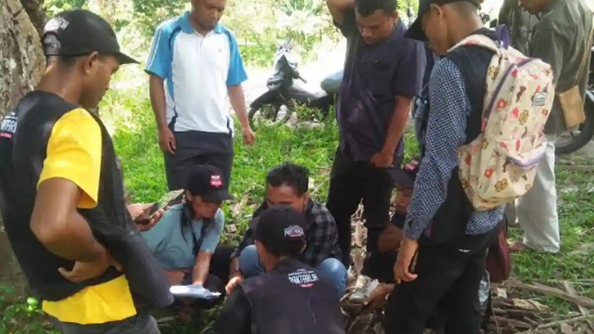 Pantarlih Manggarai Timur Berjibaku Dengan Signal Internet Buruk Saat e-Coklit Data Pemilih