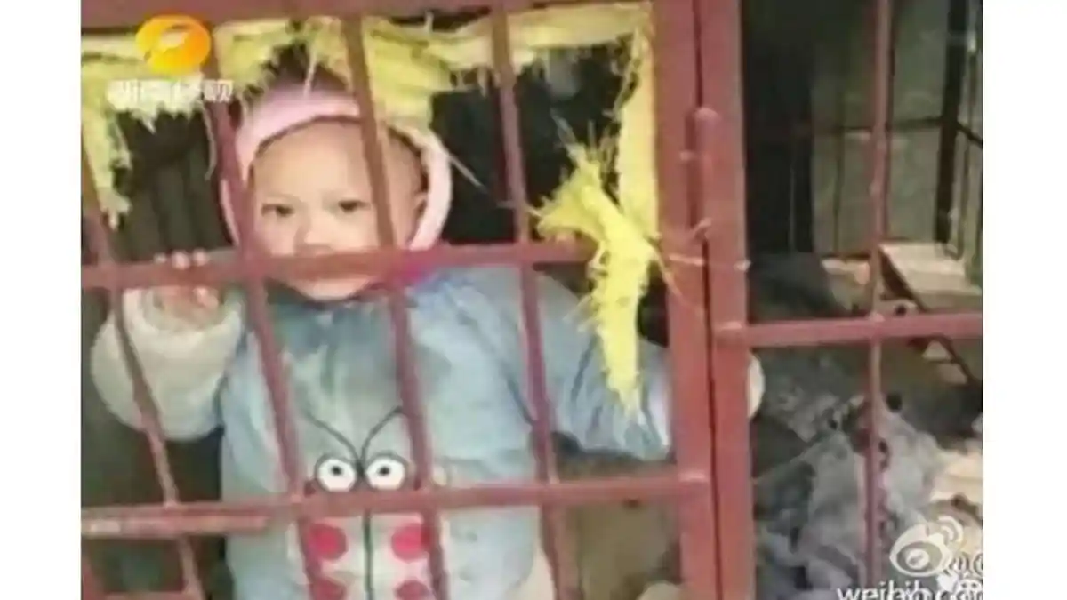 Bayi Dikerangkeng di Kandang Anjing, Ada Ular dan Kecoak Berkeliaran di Dekatnya