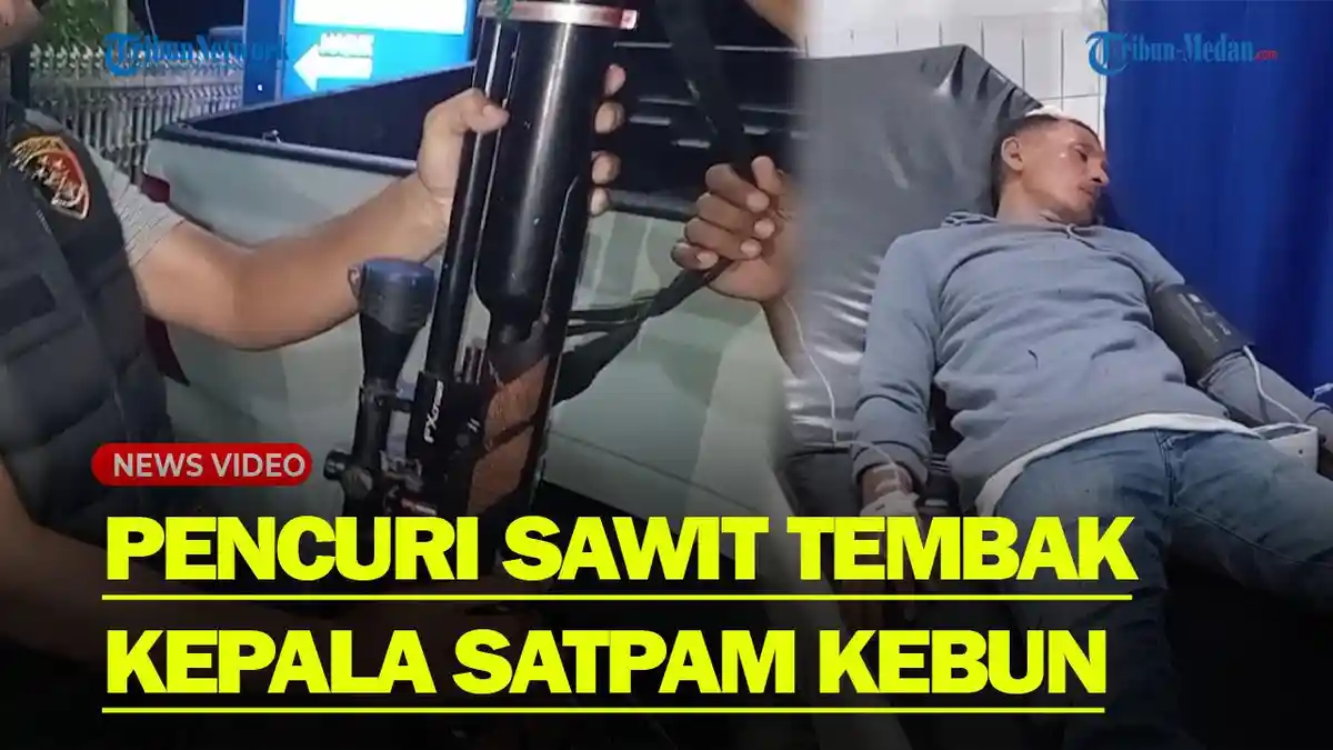 KRONOLOGI Penembakan Dua Petugas Security Perusahaan Sawit di Asahan