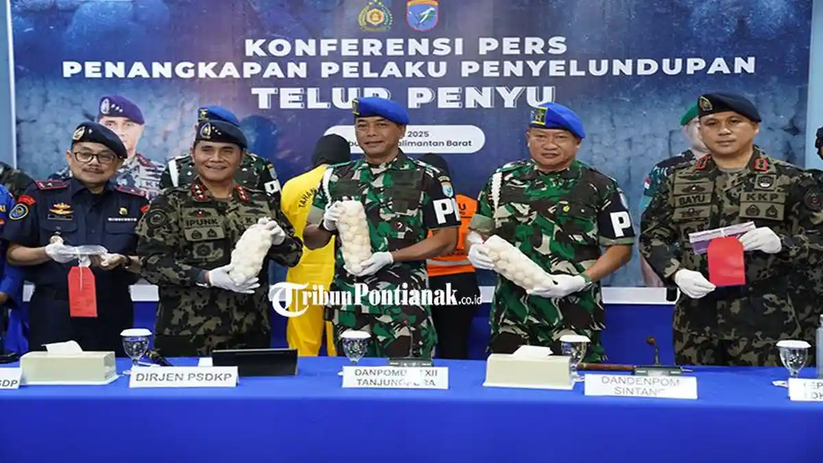 Oknum TNI Terlibat Penyelundupan 5.400 Telur Penyu ke Malaysia