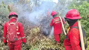 Tim-Manggala-Agni-masih-melakukan-pemadaman-di-Desa-Titi-Akar-Rupat-Utara.jpg