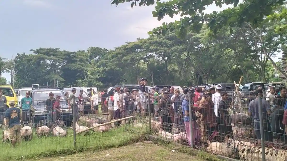 Pelaku Usaha dan Peternak Diminta Tak Datangkan Hewan dari Luar Wilayah Bali