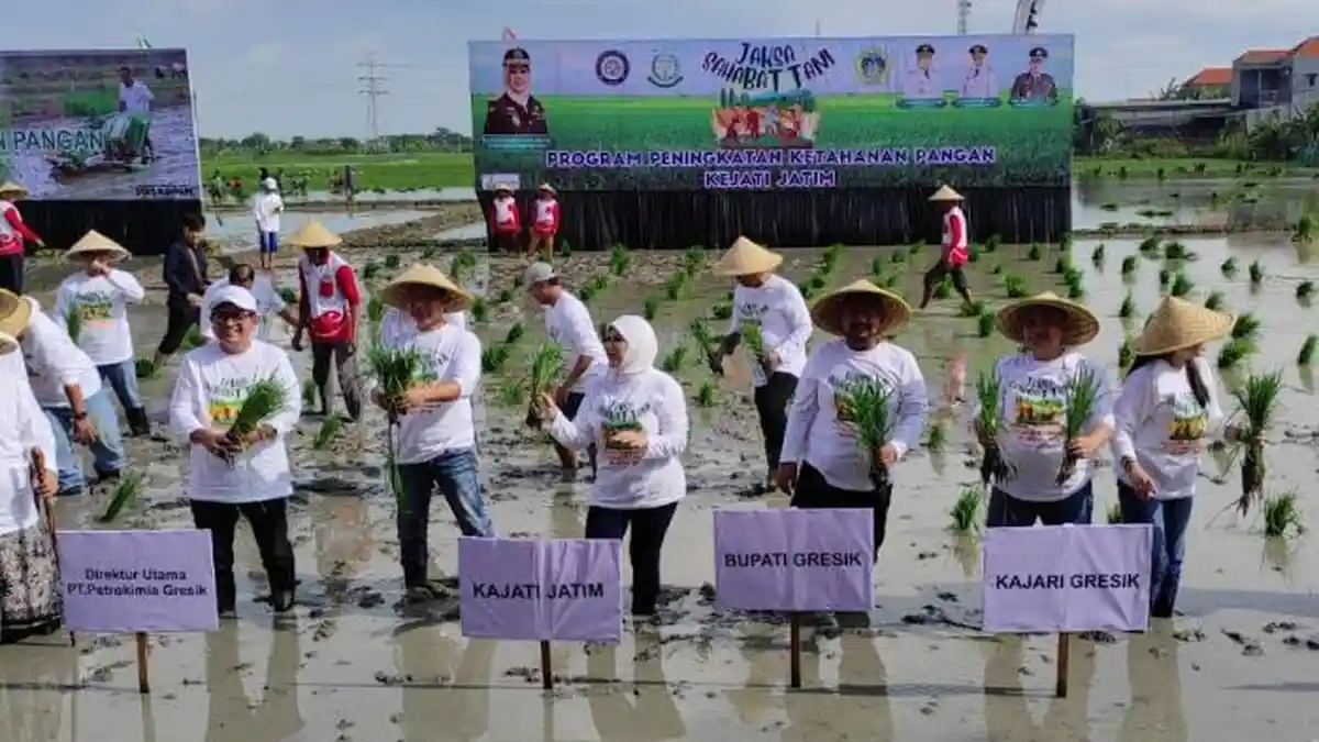 Dukung Swasembada Pangan Program Presiden Prabowo, Kejati Jatim Tanam ...