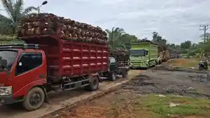 Catat-Ini-Jadwal-Tutup-4-Pabrik-Sawit-di-Bengkulu-Tengah-Jelang-Hari-Raya-Idulfitri-2025.jpg