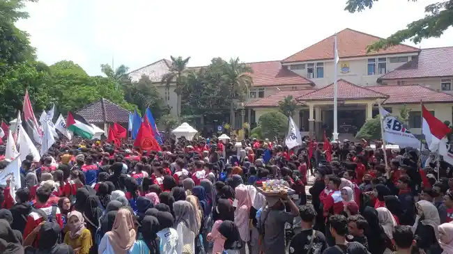 Tribun