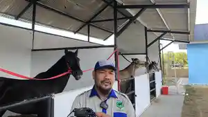 kuda-Ponpes-siak.jpg