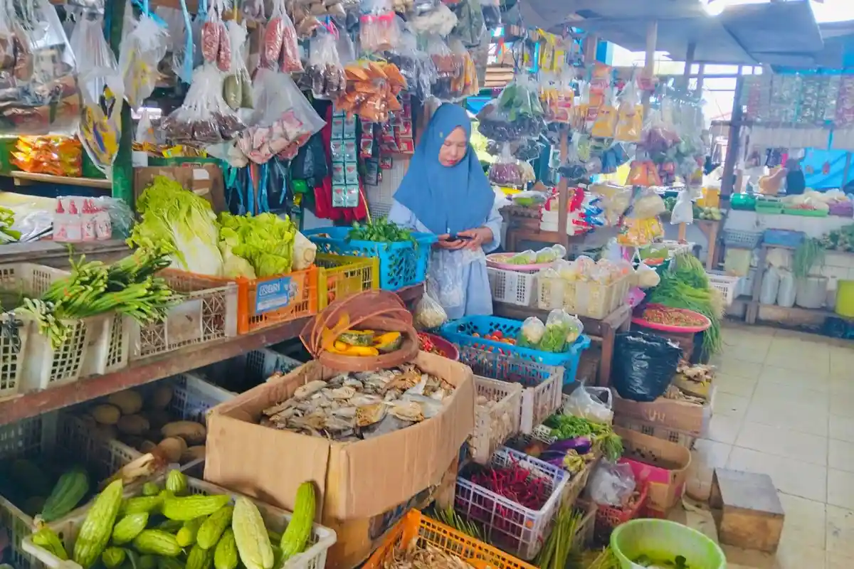 Lahan Pertanian Sayur Masih Minim, DPPP Tana Tidung Kaltara Dorong Pemanfaatan Hidroponik