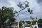 pasukan-pemangkas-pohon_20180207_104733.jpg