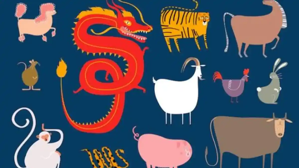 Prediksi Peruntungan Shio Hari Ini, Sabtu 6 Agustus 2022, Finansial Shio Ular tak Memuaskan, Sabar