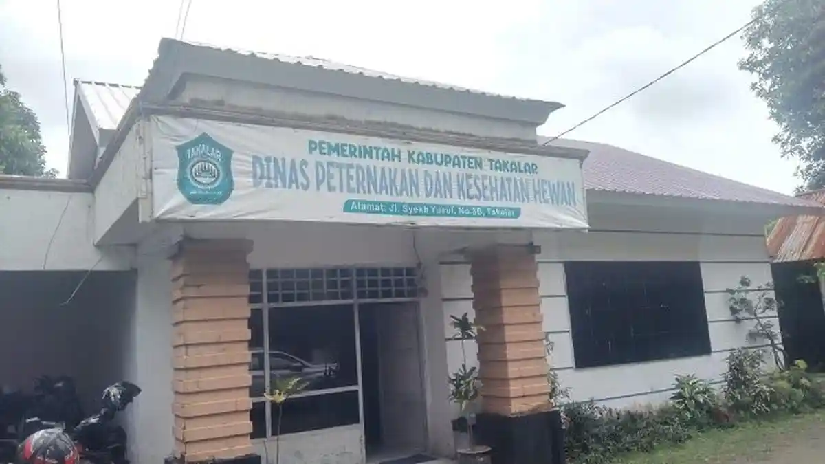 Seluruh Wilayah Takalar Telah Terserang PMK, Dinas Kesehatan Hewan Fokus Pengobatan