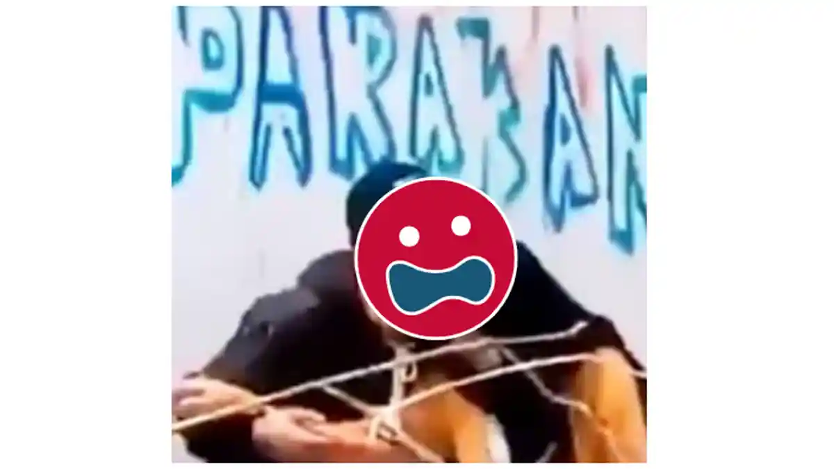 Nasib Anak SMP Pemeran Video 'Parakan 01' yang Viral di WhatsApp dan Twitter, Waspada buat Penyebar