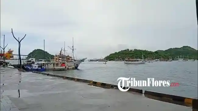 Tribun