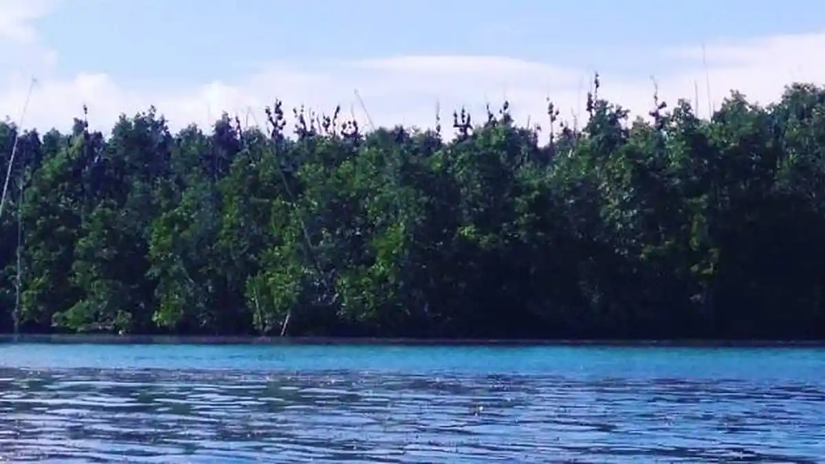 Pulau Kelelawar, Rumah Kalong 3 Warna di Parigi Moutong Sulteng - Pulau-Kelelawar-di-Desa-Tomoli.jpg