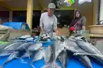 harga-dan-ketersediaan-ikan-jenis-cakalang-dan-tuna-di-pasar-Girian-Kota-Bitung-Sulut.jpg