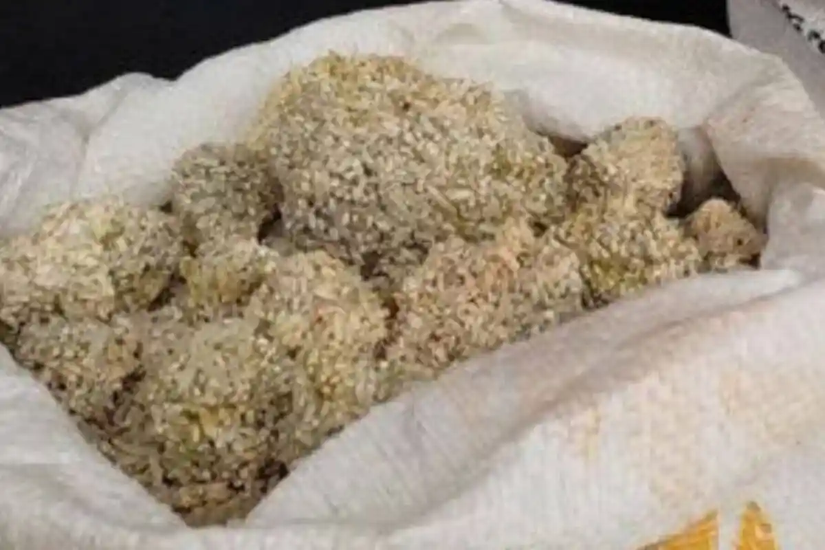 Viral Beras Menggumpal Seperti Batu di Pandeglang Banten, Bulog Minta Maaf dan Jelaskan Penyebabnya