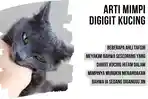 9-Arti-digigit-kucing-pertanda-diganggu-jin-hingga-bahagia.jpg