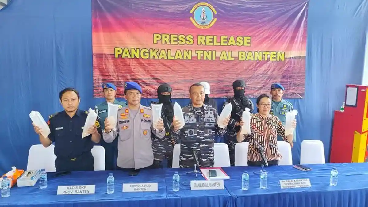 Lanal Banten Gagalkan Penyelundupan 77.800 Ekor BBL, Modus Disembunyikan dalam Box