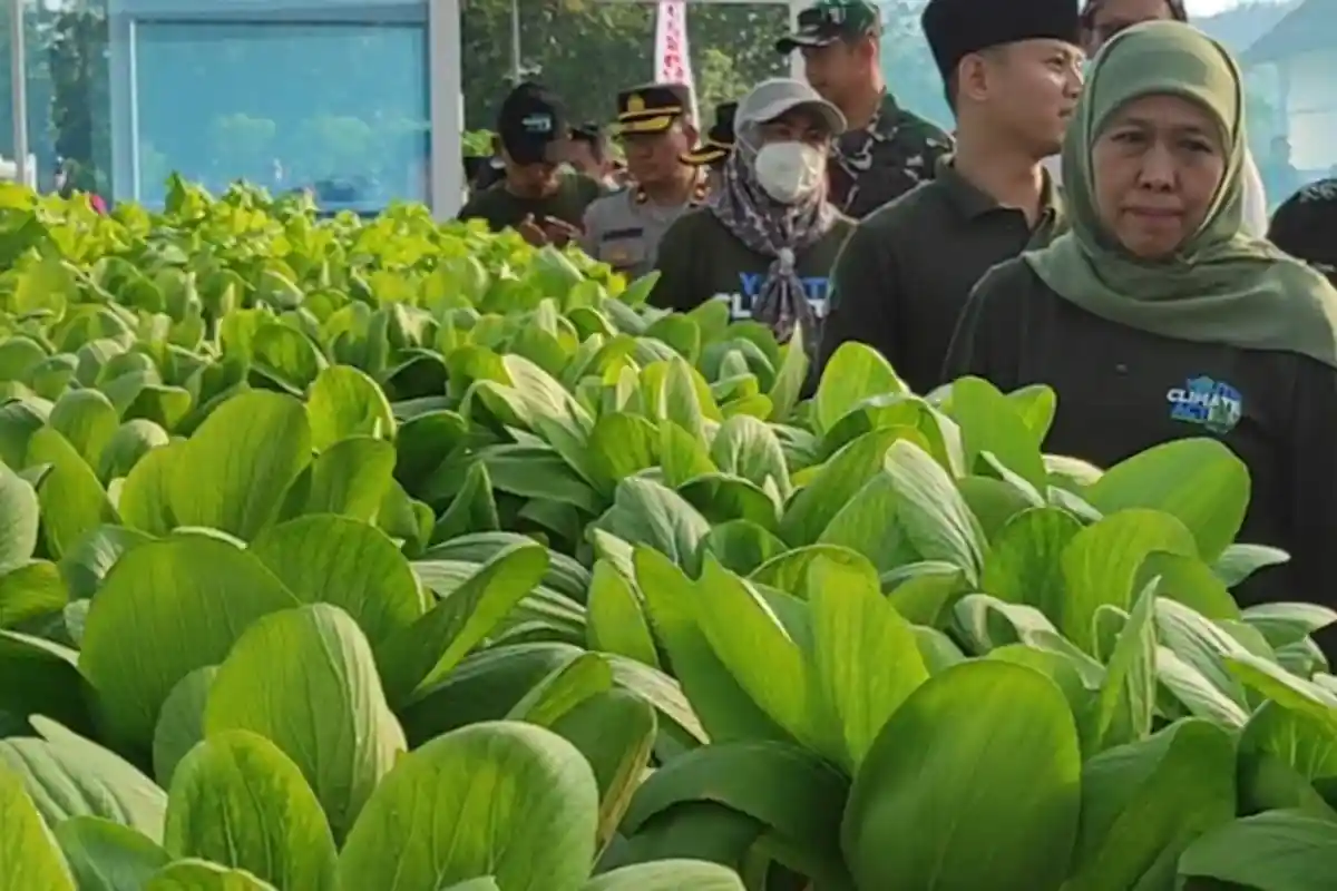 Wujudkan 2060 Net Zero Emmision, Khofifah Ajak Warga Trenggalek Sedekah Oksigen