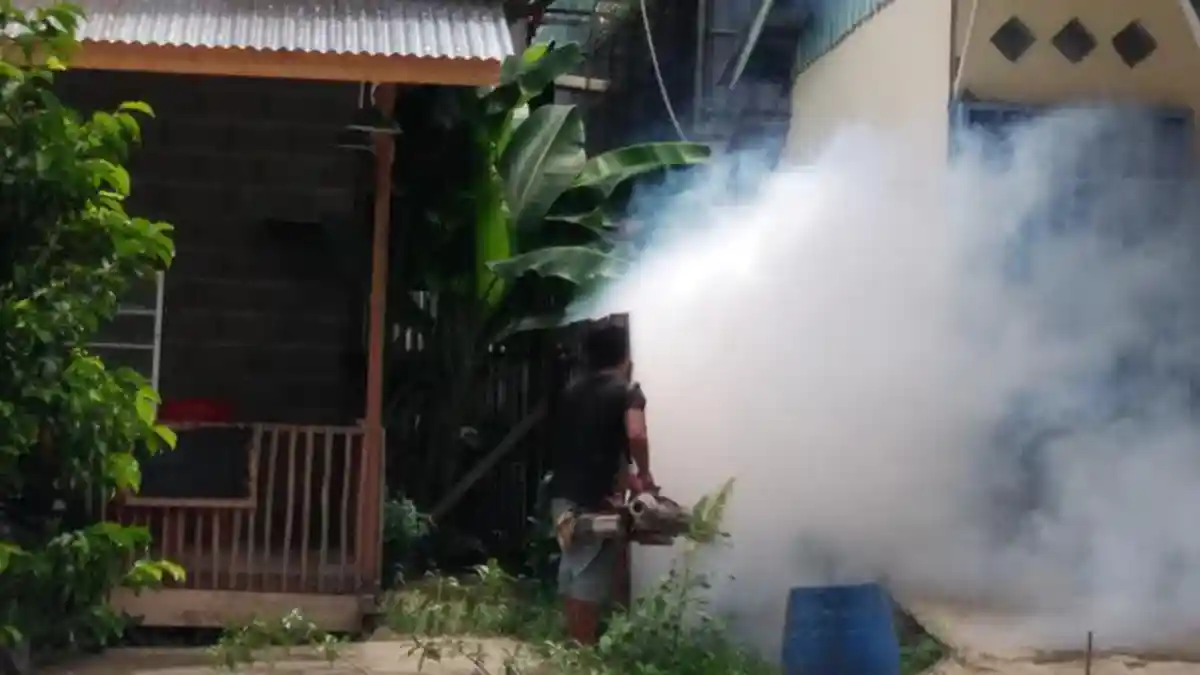 121 Pasien DBD Dirujuk ke RSUD Pasar Rebo dan RSUP Fatmawati