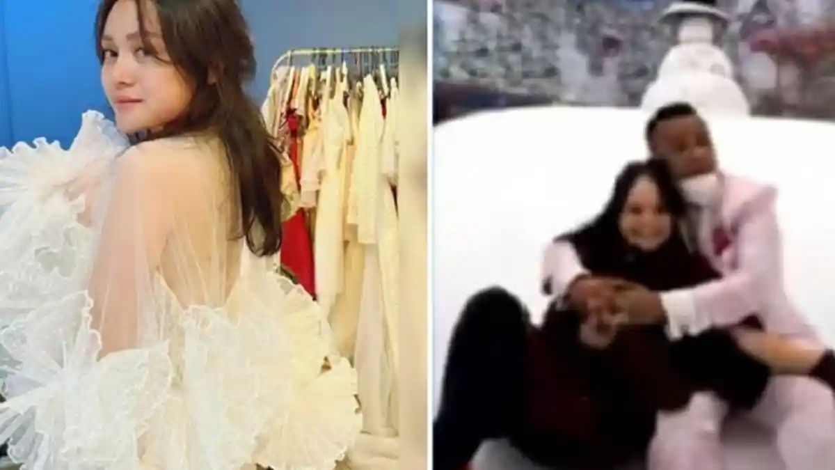 Nyali Steno Ciut? Hotman Paris 'Turun Tangan' soal Mawar AFI Dilaporkan ke Polisi: Sengsara Anaknya