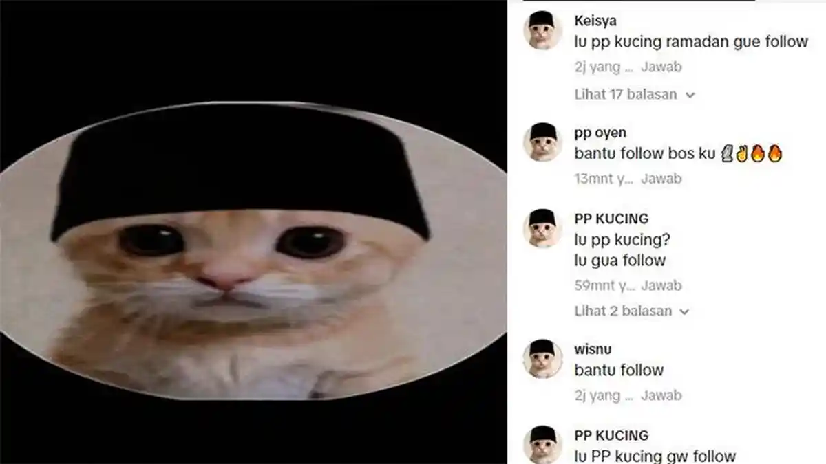 Download PP Kucing Ramadhan yang Viral Tiktok: Auto Difollow kalau Pakai PP Kucing