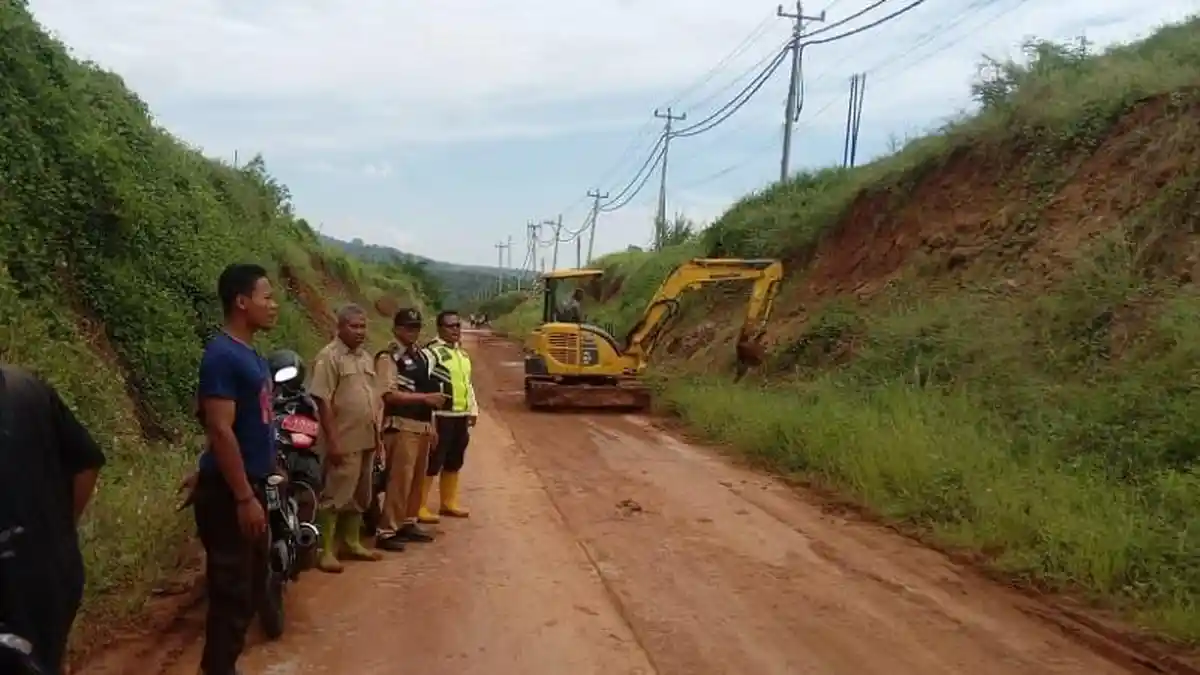 Jalur Menuju KEK Batang Longsor dan Rusak, Warga yang Kesal Sempat Tanam Pohon Sengon