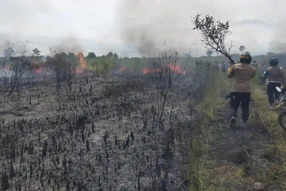 Polres Lampung Timur Kerahkan 42 Personel, Api yang Melalap TNWK Padam Setelah 18 Jam