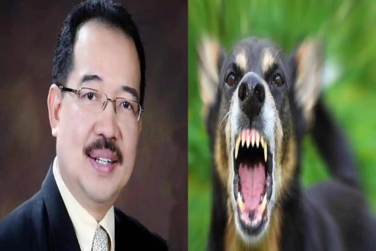 Kasus Rabies di Flores Bisa Menular ke Timor Barat Hingga Diekspor ke Timor Leste