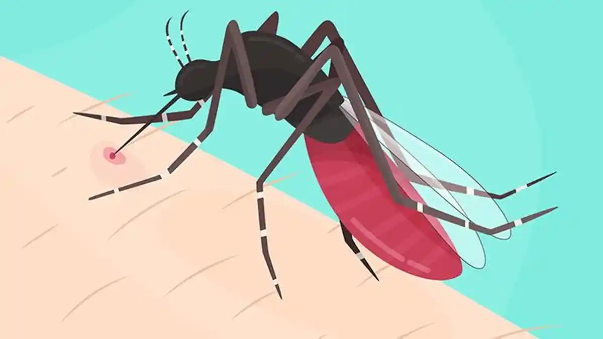 Kasus Malaria di Kota Sorong Meningkat pada 2024, Warga Distrik Ini Paling Banyak Terinfeksi