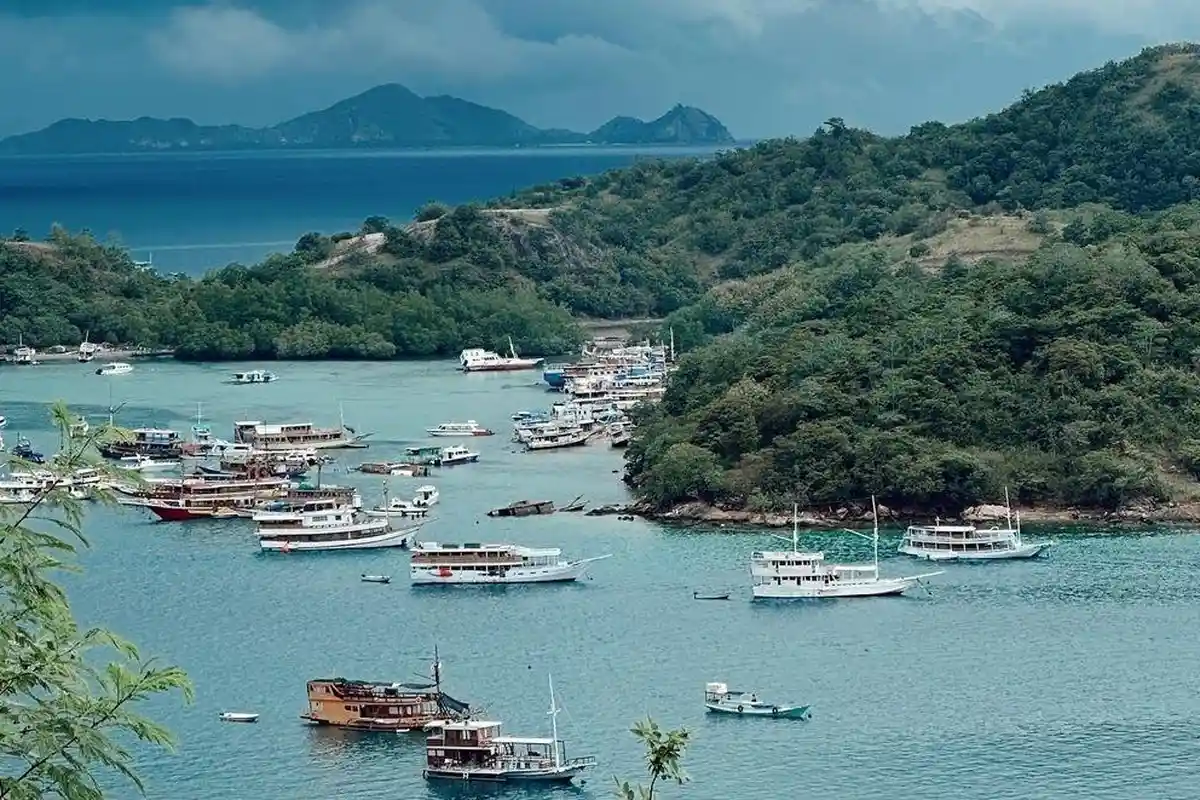 BPOLBF Minta Wisatawan Tak Termakan Tarif Murah Kapal Wisata