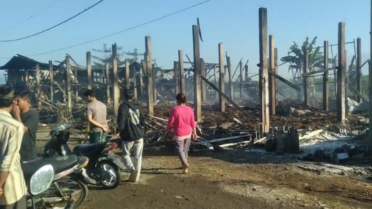 Peternakan Ayam Milik Kades Tegalsari Banyuwangi Terbakar, Kerugian Hampir Rp 1 Miliar