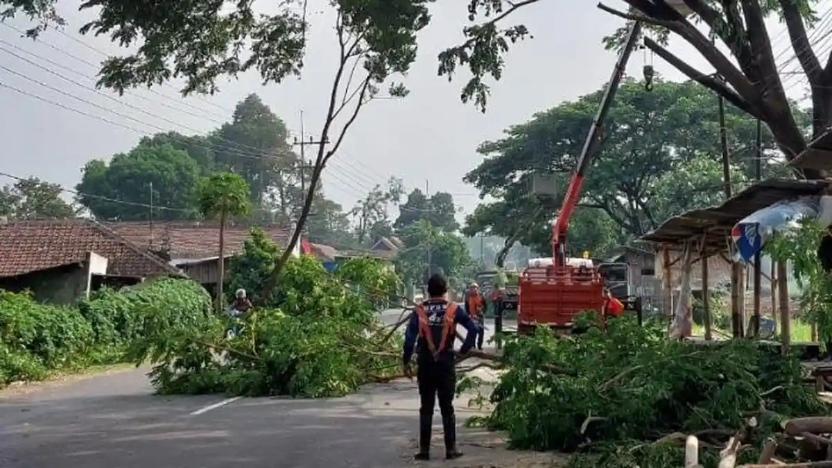 Waspada Cuaca Ekstrem, Pemkab Kediri Petakan Titik Rawan Bencana dan Pohon Tumbang 