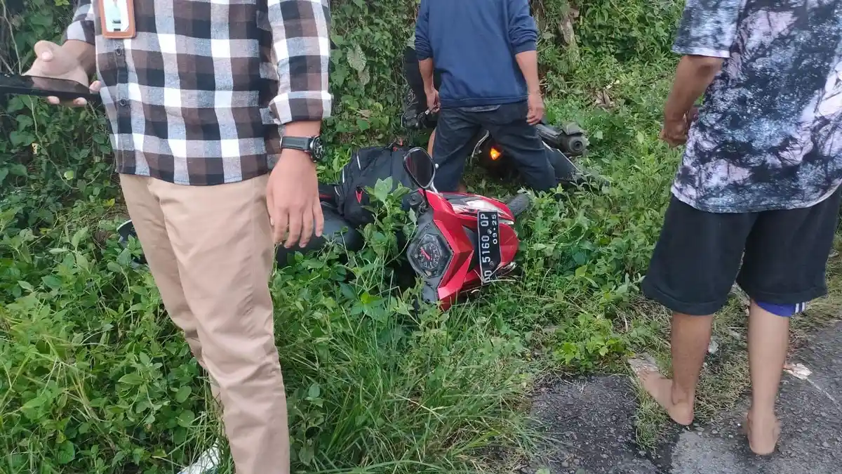 BREKING NEWS: 2 Motor Adu Banteng di Sinjai Sulsel