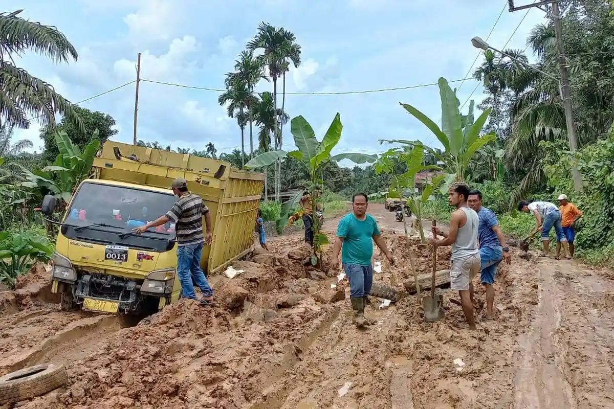 Protes Jalan Rusak, Warga Bakung Tanam Pohon Pisang dan Sawit di Tengah Jalan