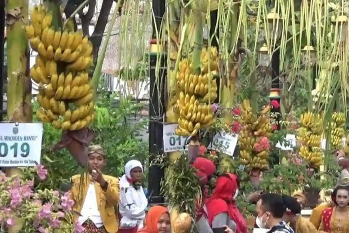 Pemkot Madiun Pecahkan Rekor MURI Pemasangan Sambung Tuwuh Terbanyak dalam Acara Madioen Mantu
