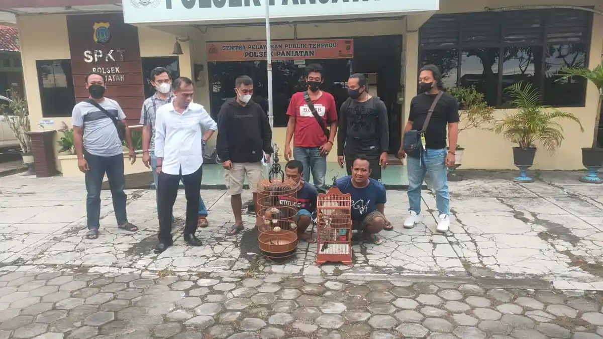 Berita Kriminal Kulon Progo: Rabu Curi Burung, Sehari Kemudian Ditangkap Polisi