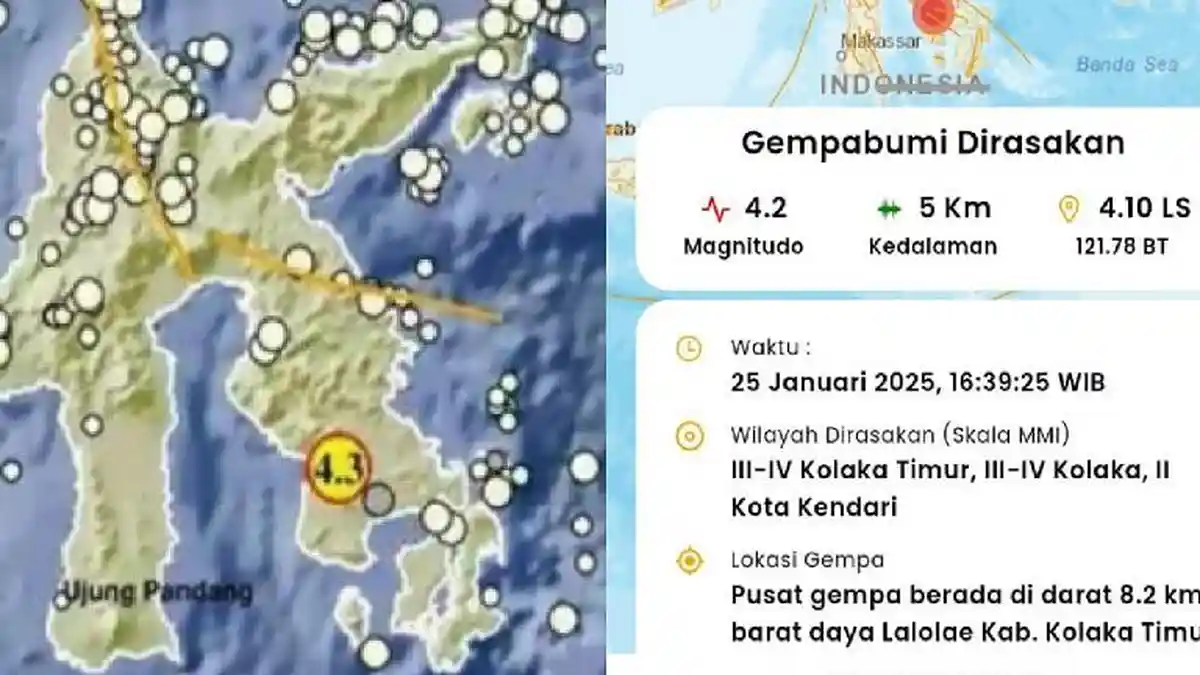 Kolaka Timur Diguncang Gempa 4,2 SR Lagi, Terasa di Kolaka hingga Kendari Sulawesi Tenggara
