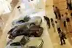 Pameran Mobil Porsche