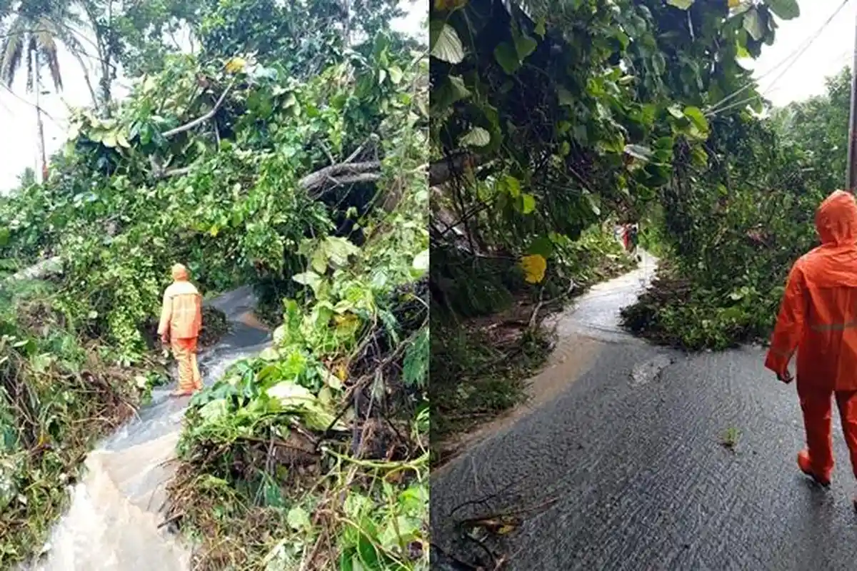 Breaking News: Longsor di Jalan Sawangan - Tanggari dan Sampiri Minut Sulawesi Utara