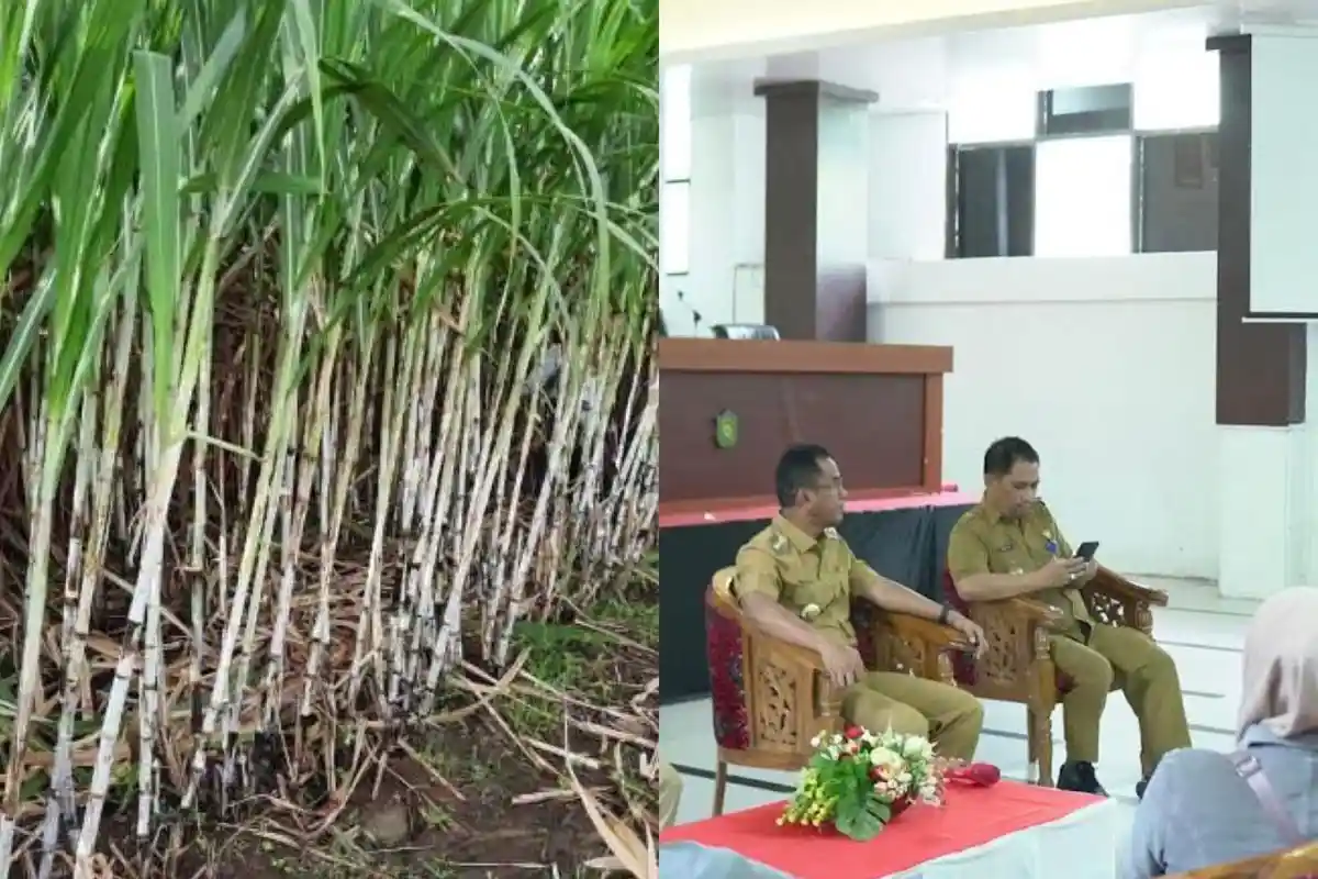 44 Tahun Tanahnya Dikuasai PTPN XIV, Warga Polongbangkeng Tagih Janji Pemkab Takalar Sulsel