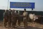prajurit-tni-di-kongo-bagikan-daging-kurban-pada-warga-sekitar_20200802_232853.jpg
