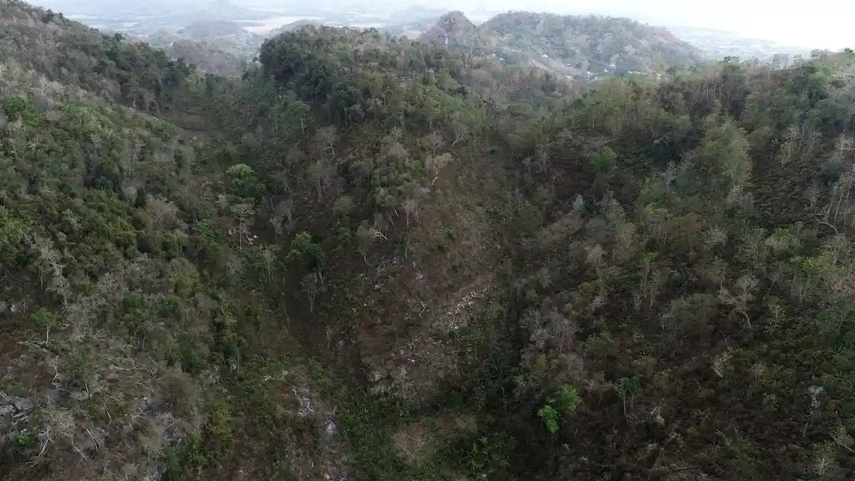 Pengembangan Pariwisata Hutan Bowosie Akan Serap 10 Ribu Tenaga Kerja