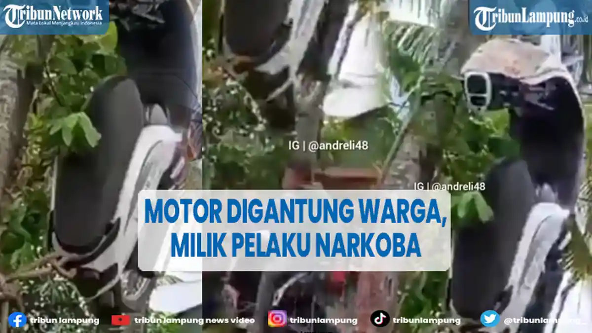 Viral Motor Digantung Warga di Pohon, Diduga Milik Pelaku Transaksi Narkoba